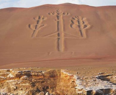 Islas Ballestas and the Reserve of Paracas