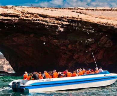 National Reserve of Paracas and Tour Ballestas Islands