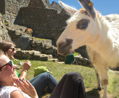 VIAJE A MACHUPICCHU EN TREN OBSERVATORIO 2 Días