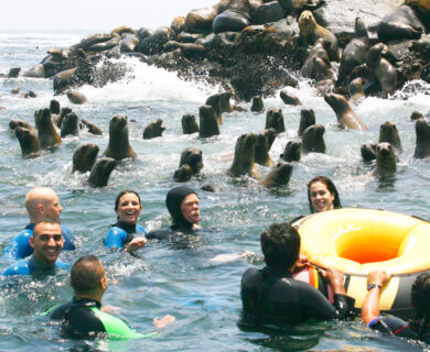 TOUR A LAS ISLAS PALOMINO EN LIMA CALLAO ½ Día