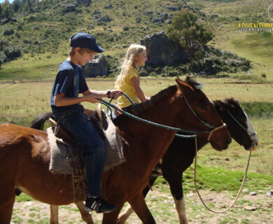 Paseo con caballos  en Sacsayhuaman Paisajistico