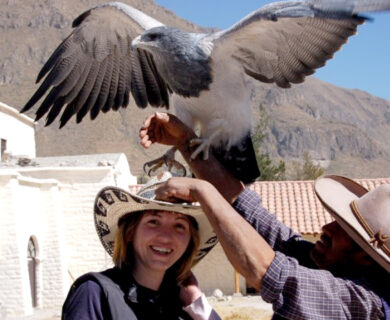 TOUR AL VALLE DEL COLCA AREQUIPA 1 Día