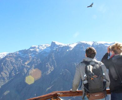 AREQUIPA – TREKKING AO CÂNION DO COLCA 2 DIAS